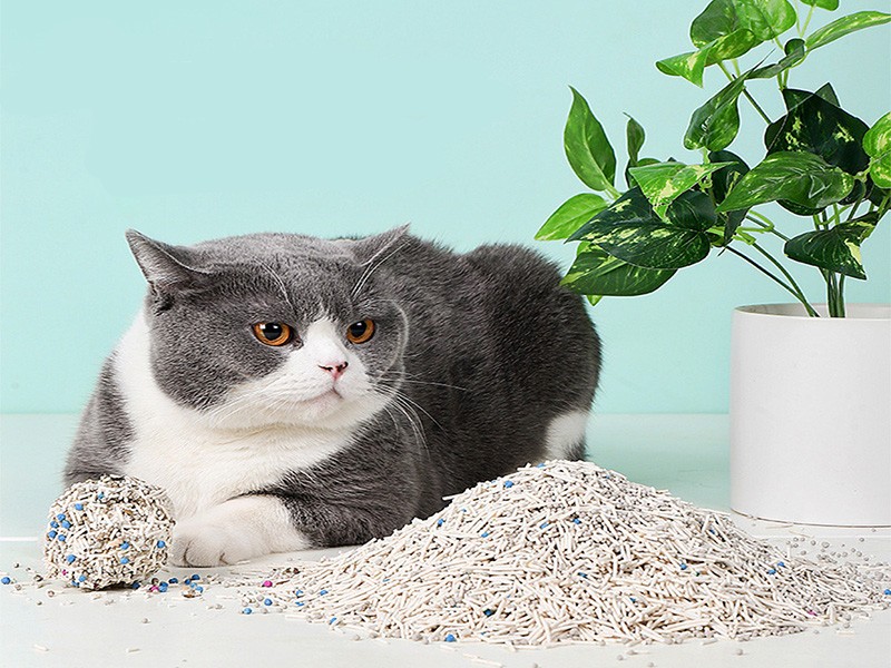 Bentonite Mixed Cat Litter,Gemischtes Katzenstreu