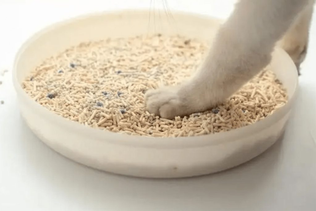 Cat Litter Usage